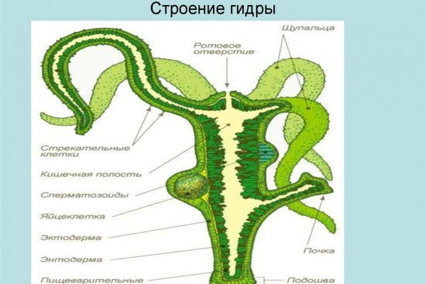 Kraken зеркало рабочее market