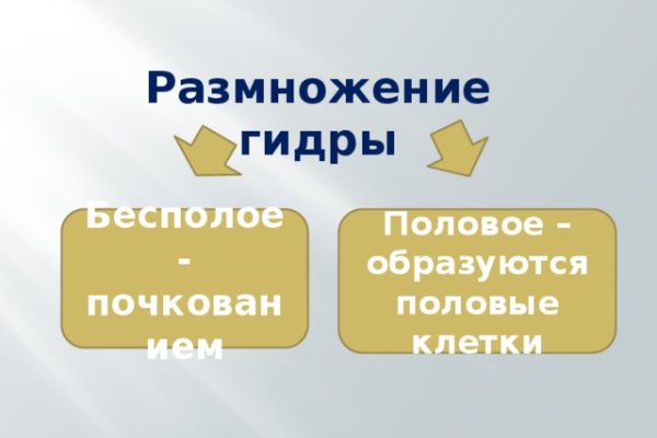 Как зайти на гидру через тор браузер