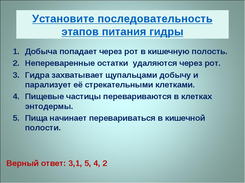 Kraken вход kraken torion